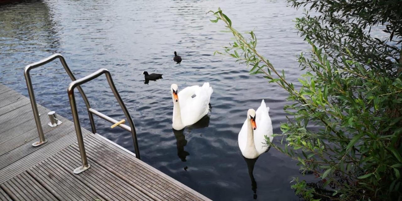فندق C'Est La Vie Houseboat Nederhorst den Berg المظهر الخارجي الصورة